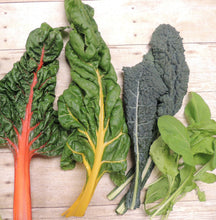 Load image into Gallery viewer, Leafy Greens Organic Seeds Variety Pack - Wild Lettuce, Romaine, Spinach, Kale, Arugula, Chard