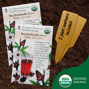 Heirloom Organic Roselle Seeds (Hibiscus Sabdariffa) - Two Pack of 20 Seeds Each