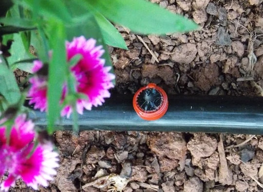 3 Tips for Installing Pressure-Compensating Drip Irrigation Emitters