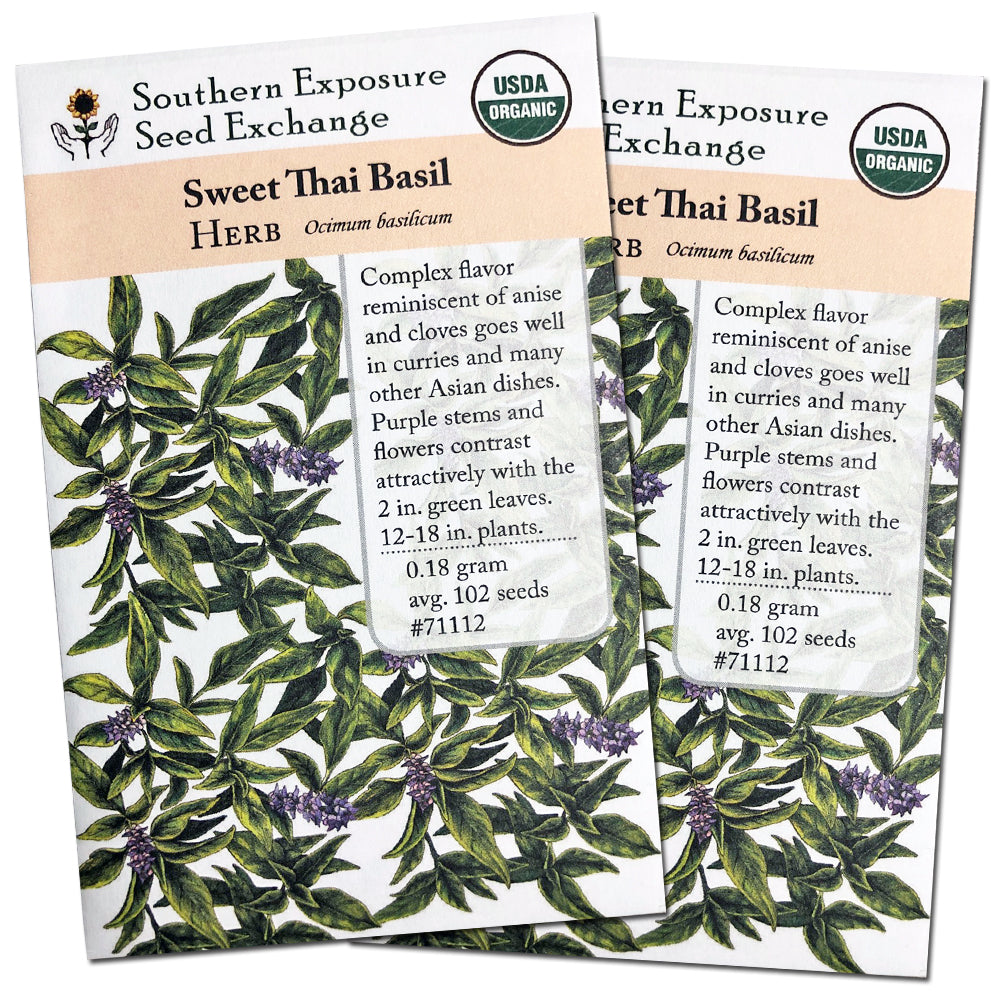 Certified Organic Sweet Thai Basil Seeds, Two Pack of 100 Seeds Each for Planting