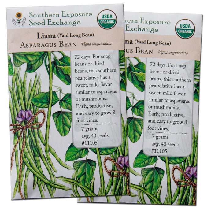 Certified Organic Yard Long Bean Seeds (Liana Asparagus Bean), Two Pack of 40 Seeds Each for Planting