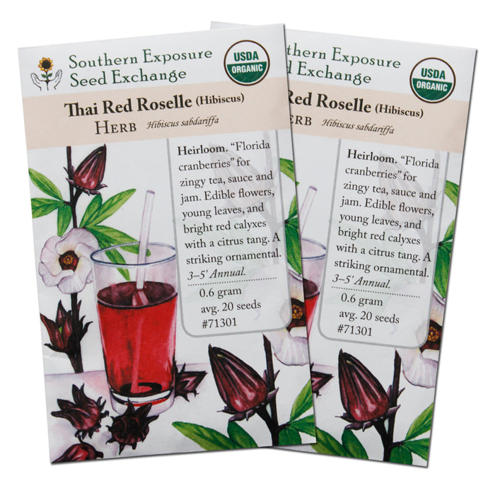 Heirloom Organic Roselle Seeds (Hibiscus Sabdariffa) - Two Pack of 20 Seeds Each