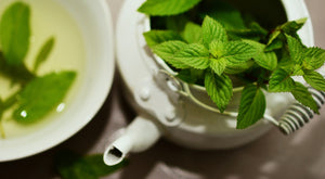 Herbal Tea Garden Organic Seeds Kit - Chamomile, Mint, Holy Basil, Echinacea, Lemon Balm
