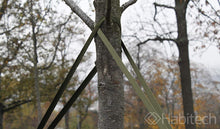 Load image into Gallery viewer, Habitech 45&#39; Tree Tie Strap Staking and Guying Material, 1,800 Lbs Strength